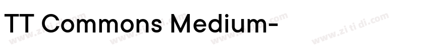 TT Commons Medium字体转换